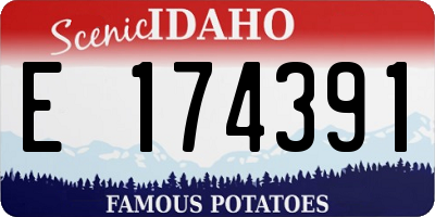 ID license plate E174391