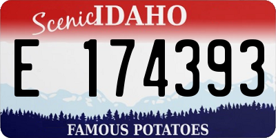ID license plate E174393