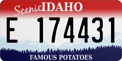 ID license plate E174431