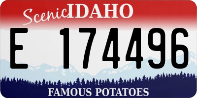 ID license plate E174496