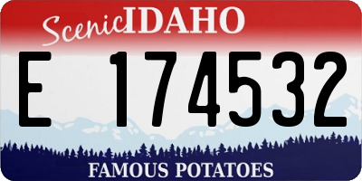 ID license plate E174532