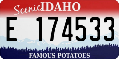 ID license plate E174533