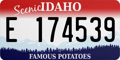 ID license plate E174539