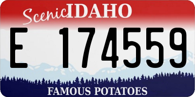 ID license plate E174559