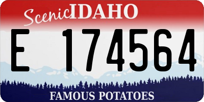 ID license plate E174564