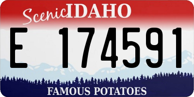 ID license plate E174591