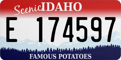 ID license plate E174597