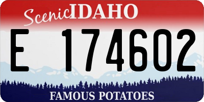 ID license plate E174602