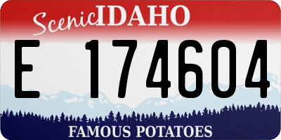 ID license plate E174604