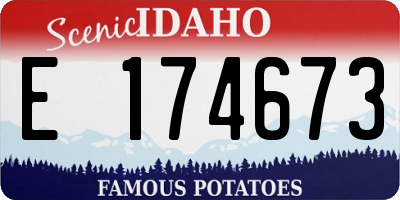 ID license plate E174673