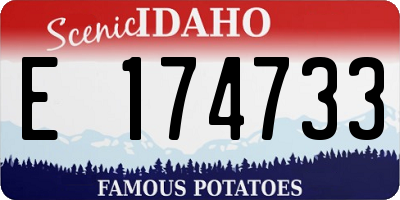 ID license plate E174733