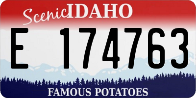 ID license plate E174763