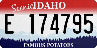 ID license plate E174795