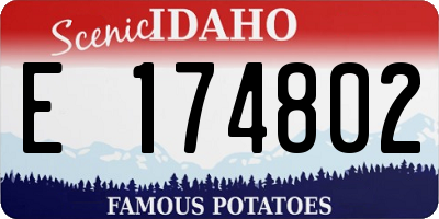 ID license plate E174802