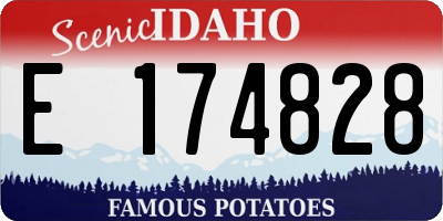 ID license plate E174828