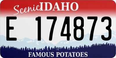 ID license plate E174873