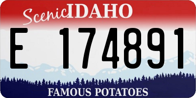 ID license plate E174891