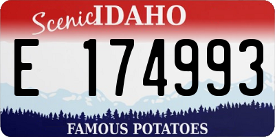 ID license plate E174993