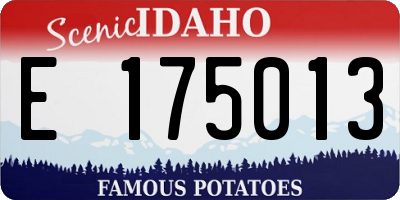 ID license plate E175013