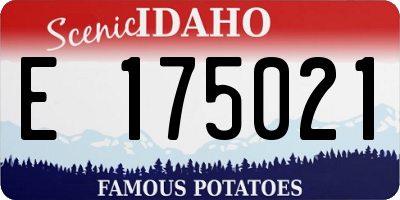ID license plate E175021