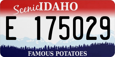 ID license plate E175029
