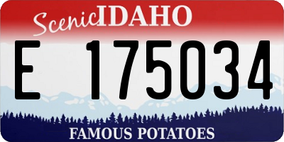 ID license plate E175034
