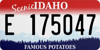 ID license plate E175047