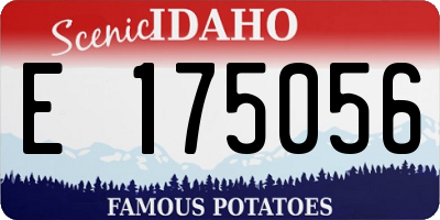 ID license plate E175056