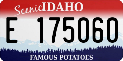 ID license plate E175060