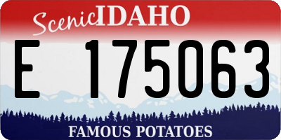 ID license plate E175063