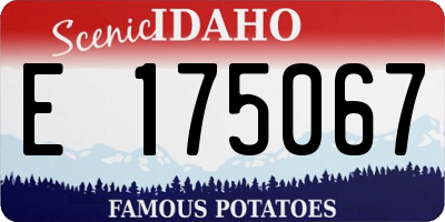 ID license plate E175067