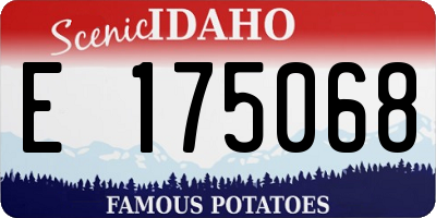 ID license plate E175068