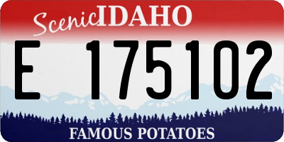 ID license plate E175102