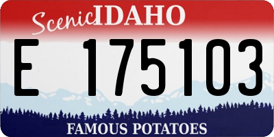 ID license plate E175103