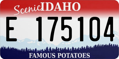 ID license plate E175104