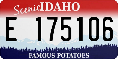 ID license plate E175106