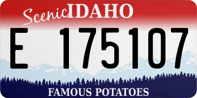 ID license plate E175107