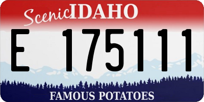ID license plate E175111