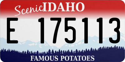 ID license plate E175113