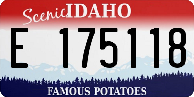 ID license plate E175118