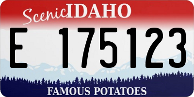 ID license plate E175123
