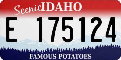 ID license plate E175124