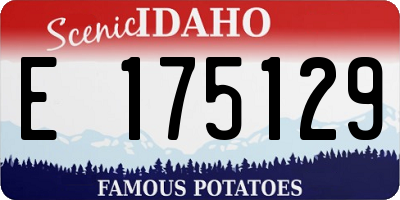 ID license plate E175129