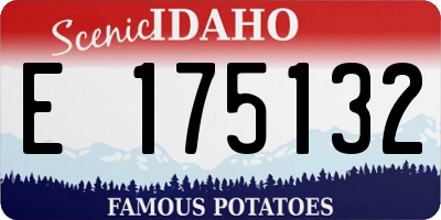 ID license plate E175132