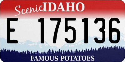 ID license plate E175136