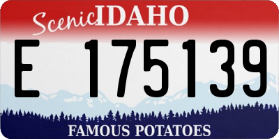 ID license plate E175139
