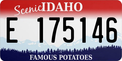ID license plate E175146