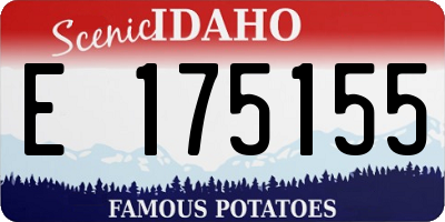 ID license plate E175155