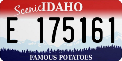 ID license plate E175161