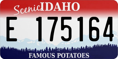 ID license plate E175164